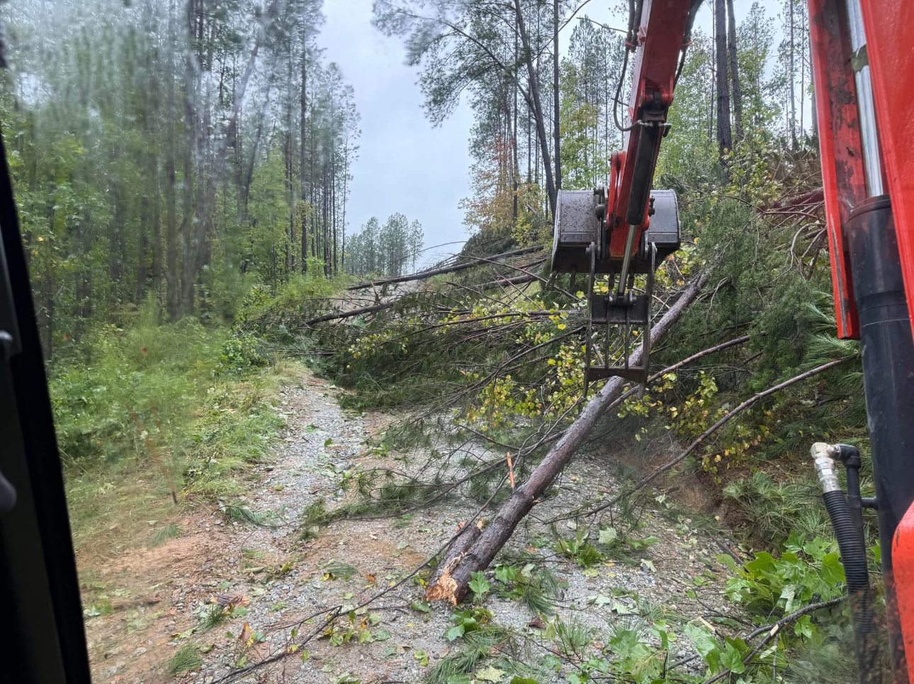 Excavator clearing fallen trees and brush along a wooded access path