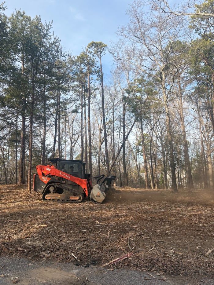 What to Do After Forestry Mulching