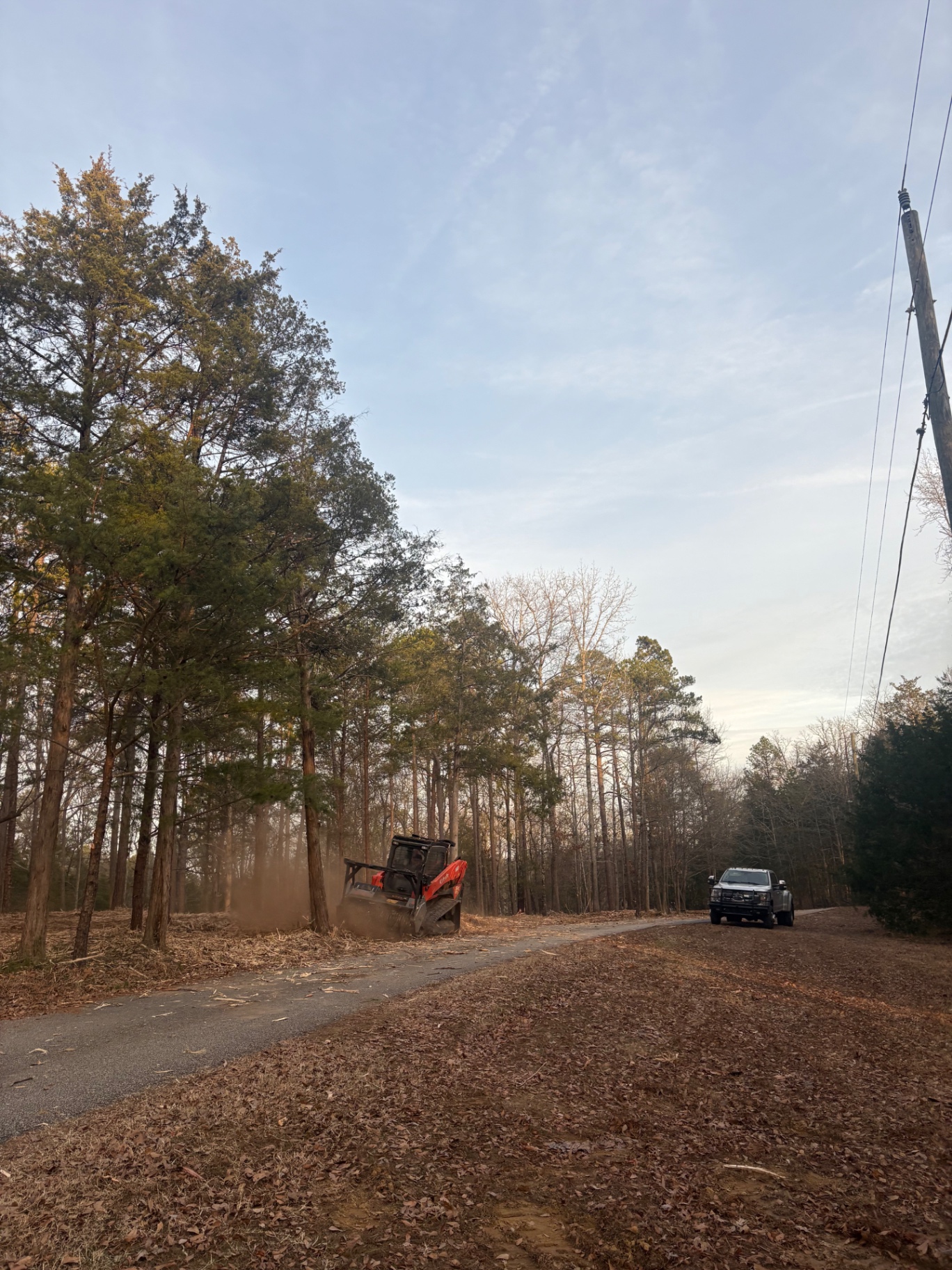 Forestry mulcher clearing dense fence line along a paved road
