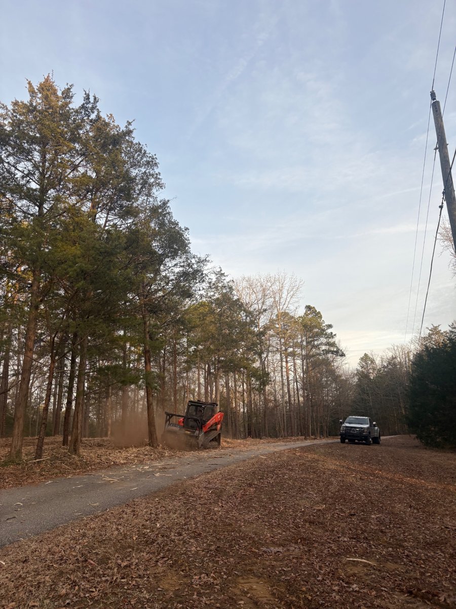 Forestry mulcher clearing a dense fence line along a paved road