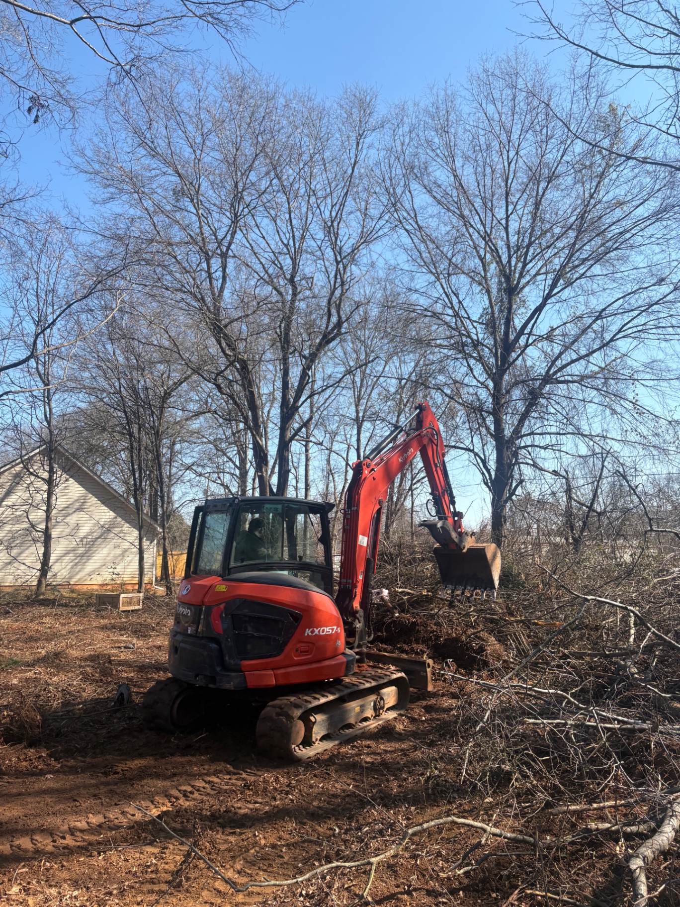 Compact excavator clearing brush and small trees from a residential backyard