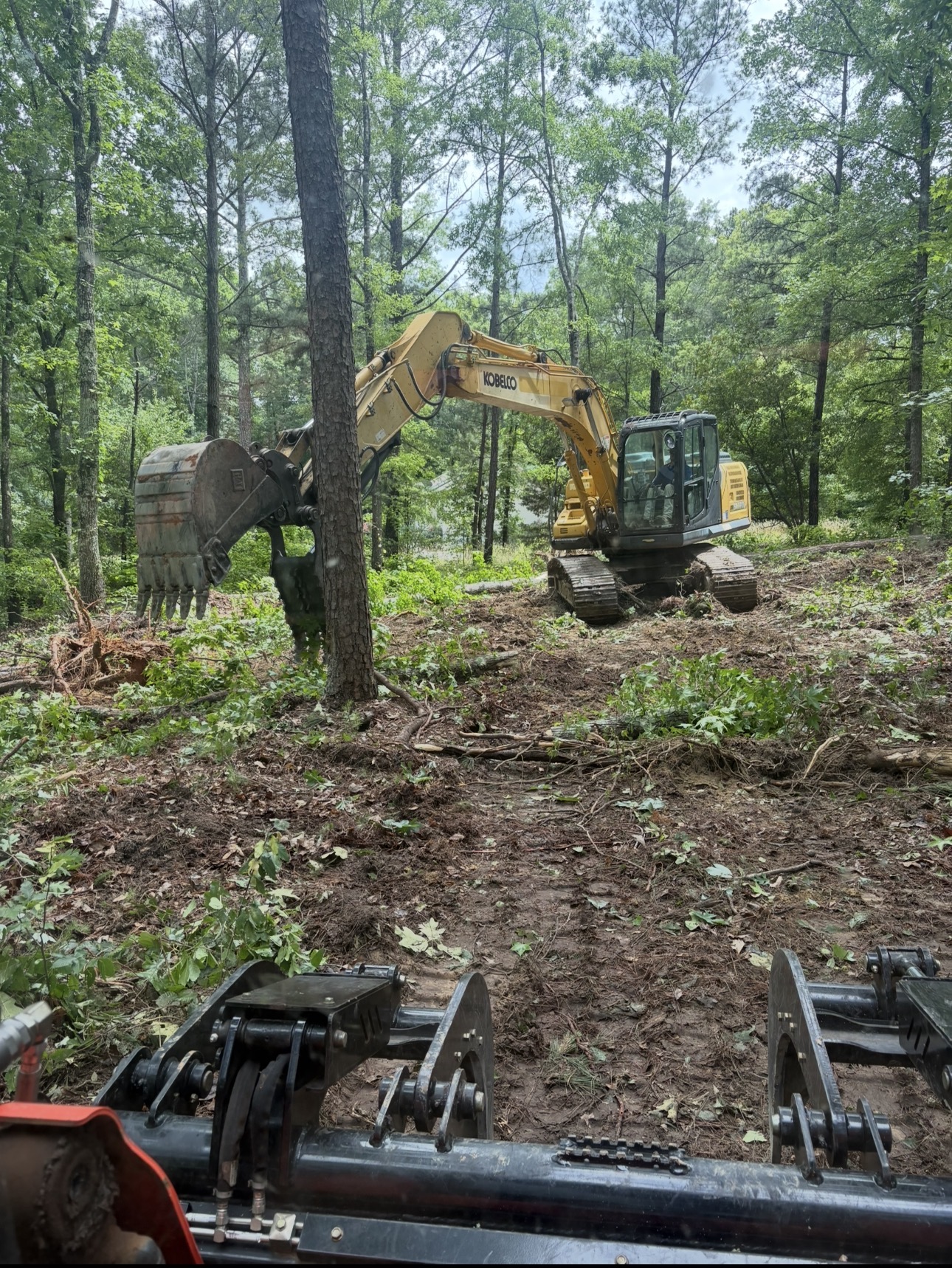 Land Clearing completed project
